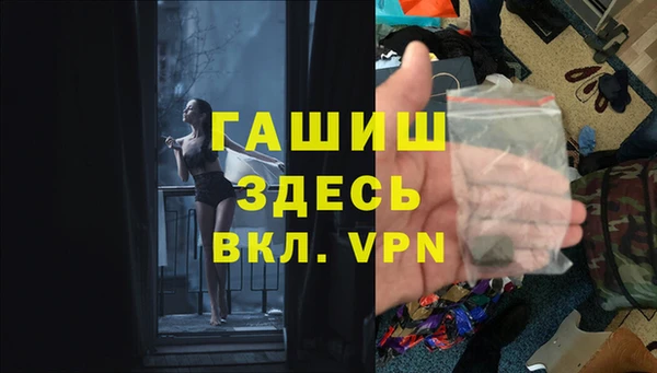 шишки Новодвинск
