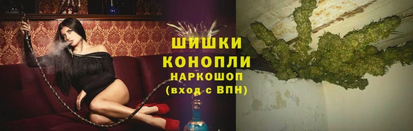 бошки Новозыбков