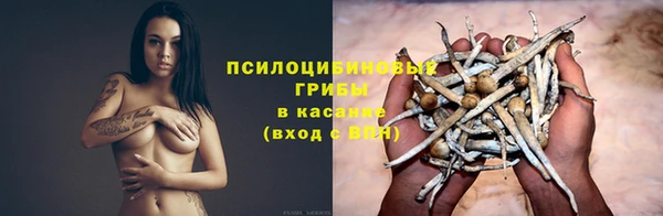 бошки Новозыбков