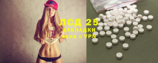 гидра Аркадак
