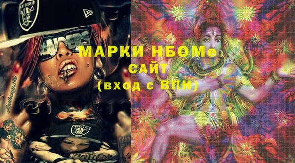 шишки Новодвинск