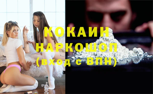 шишки Новодвинск