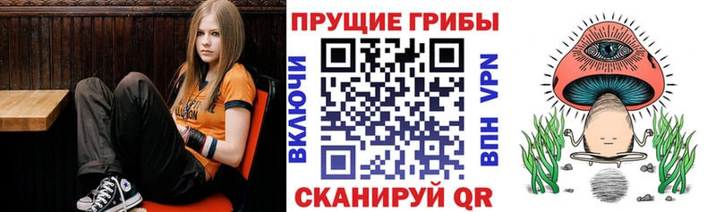 купить  цена  Аксай  Псилоцибиновые грибы GOLDEN TEACHER 